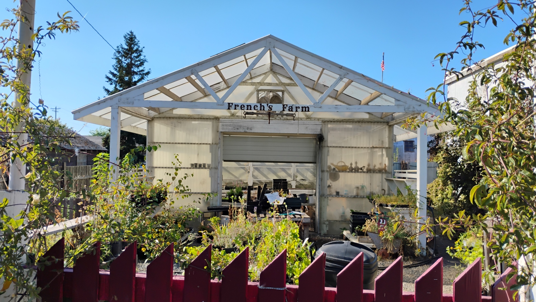 IMG_20250920_154217710