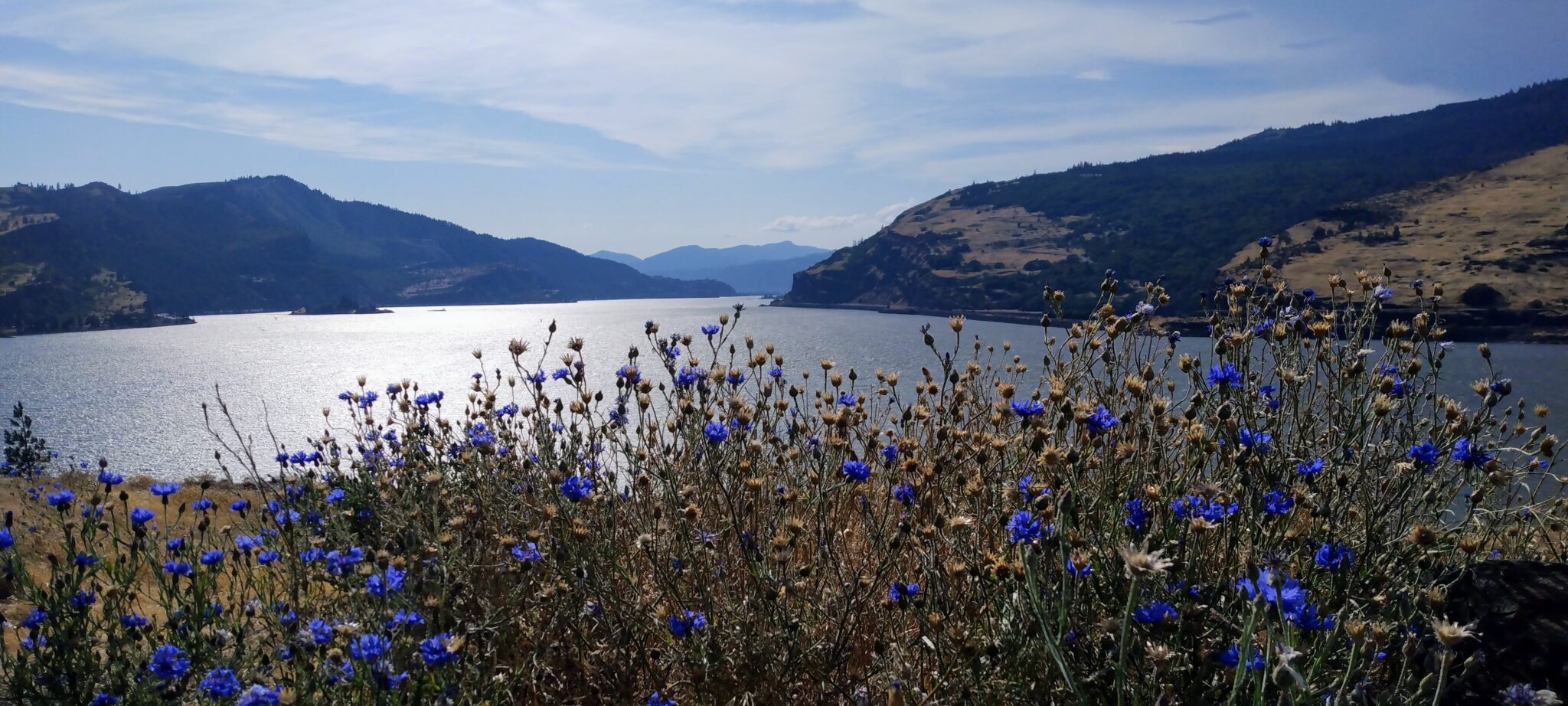 IMG_20230626_171025610~2