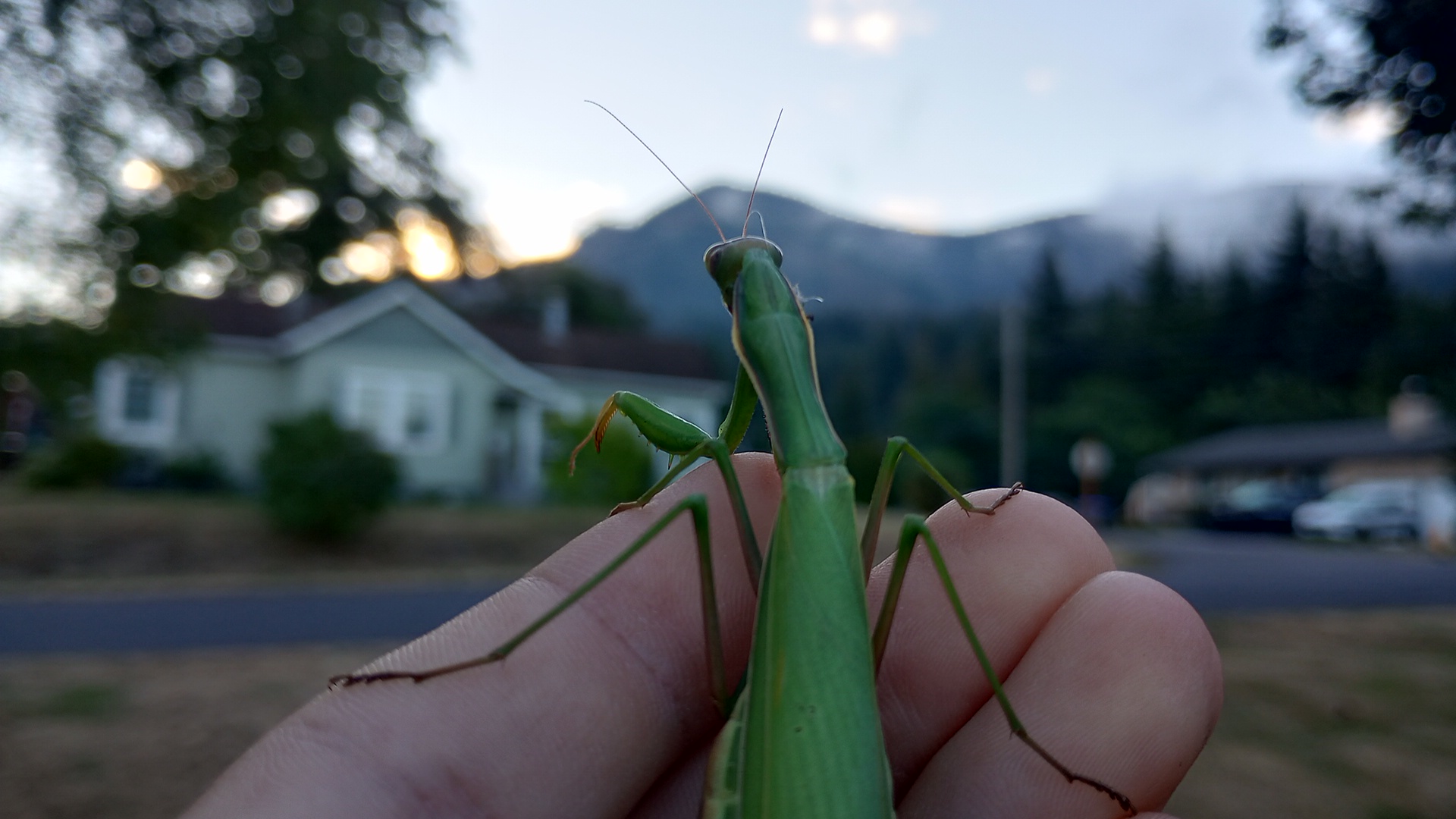 IMG_20240918_073708030_HDR