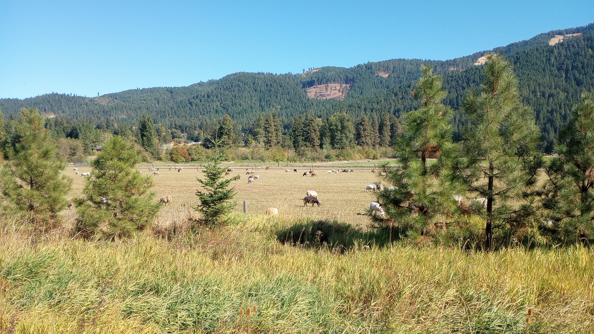 IMG_20241005_134653787_MP